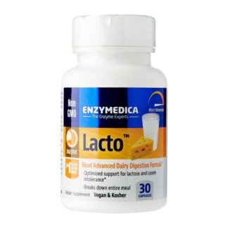 WellbeingSG - Enzymedica Lacto